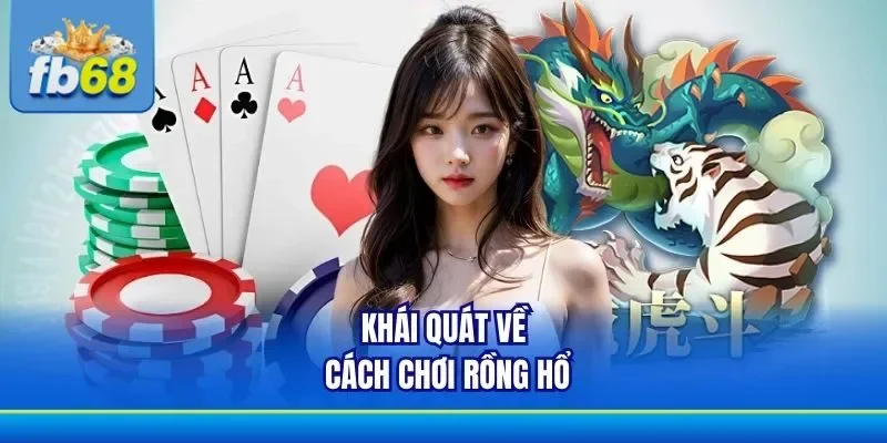 Thông tin khái quát liên quan đến cách chơi Rồng Hổ