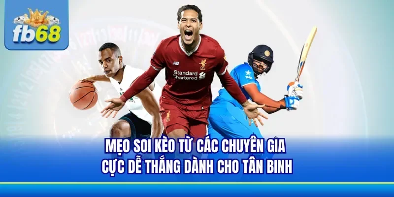 Chia sẻ một số mẹo soi kèo chắc thắng từ chuyên gia